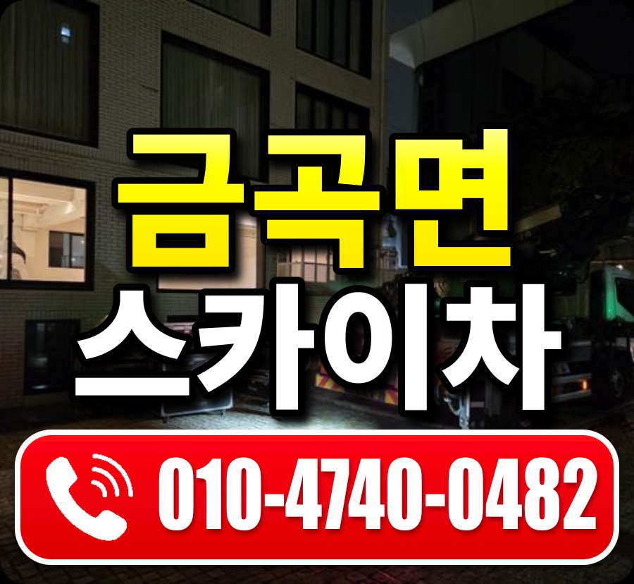금곡면 스카이차 010-4740-0482