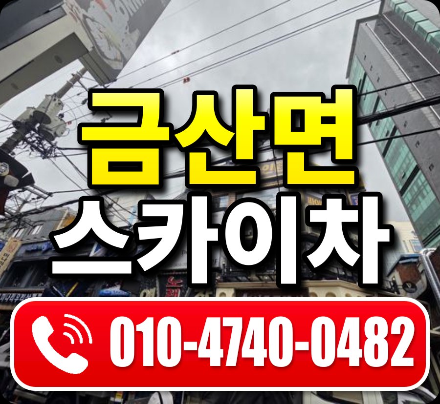 금산면 스카이차 010-4740-0482