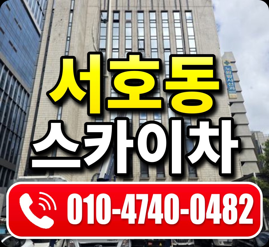 서호동 스카이차 010-4740-0482