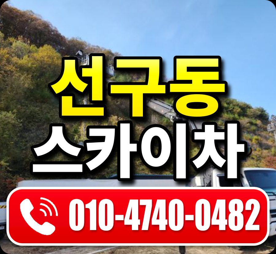 선구동 스카이차 010-4740-0482