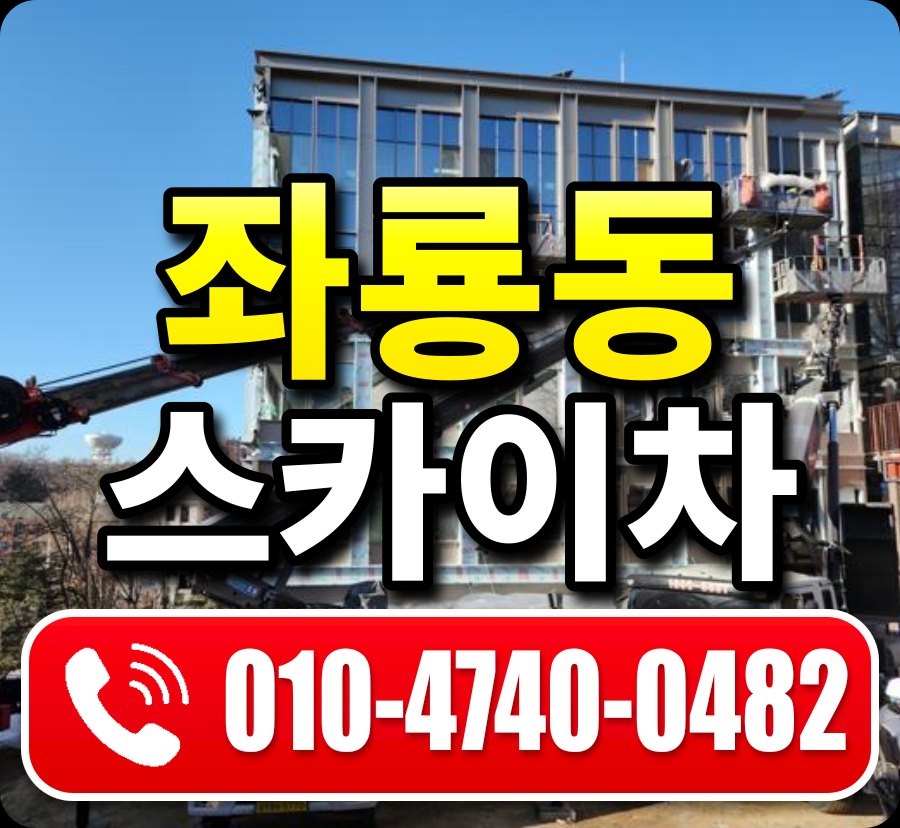 좌룡동 스카이차 010-4740-0482