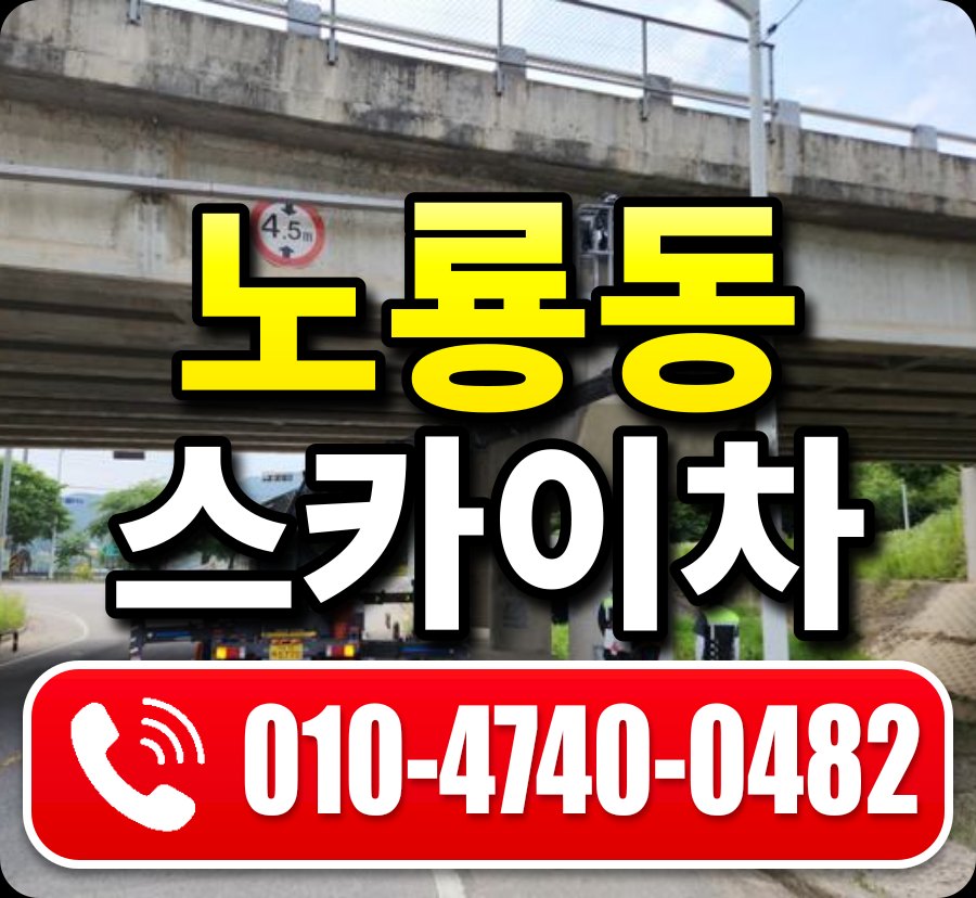 노룡동 스카이차 010-4740-0482