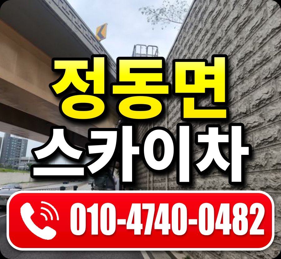 정동면 스카이차 010-4740-0482