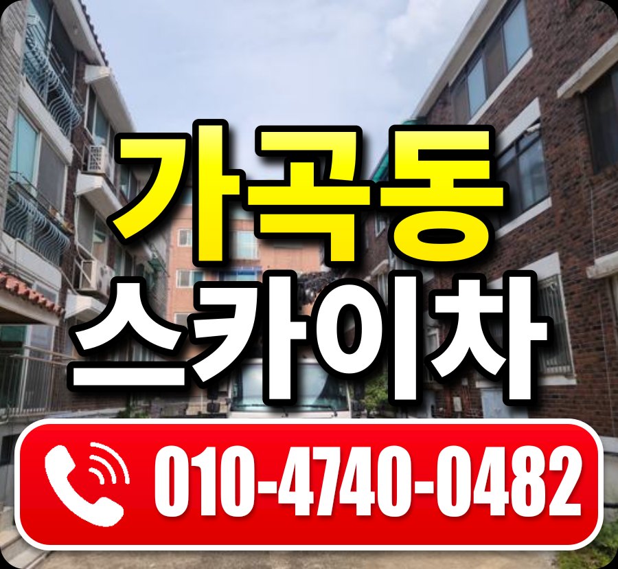 가곡동 스카이차 010-4740-0482