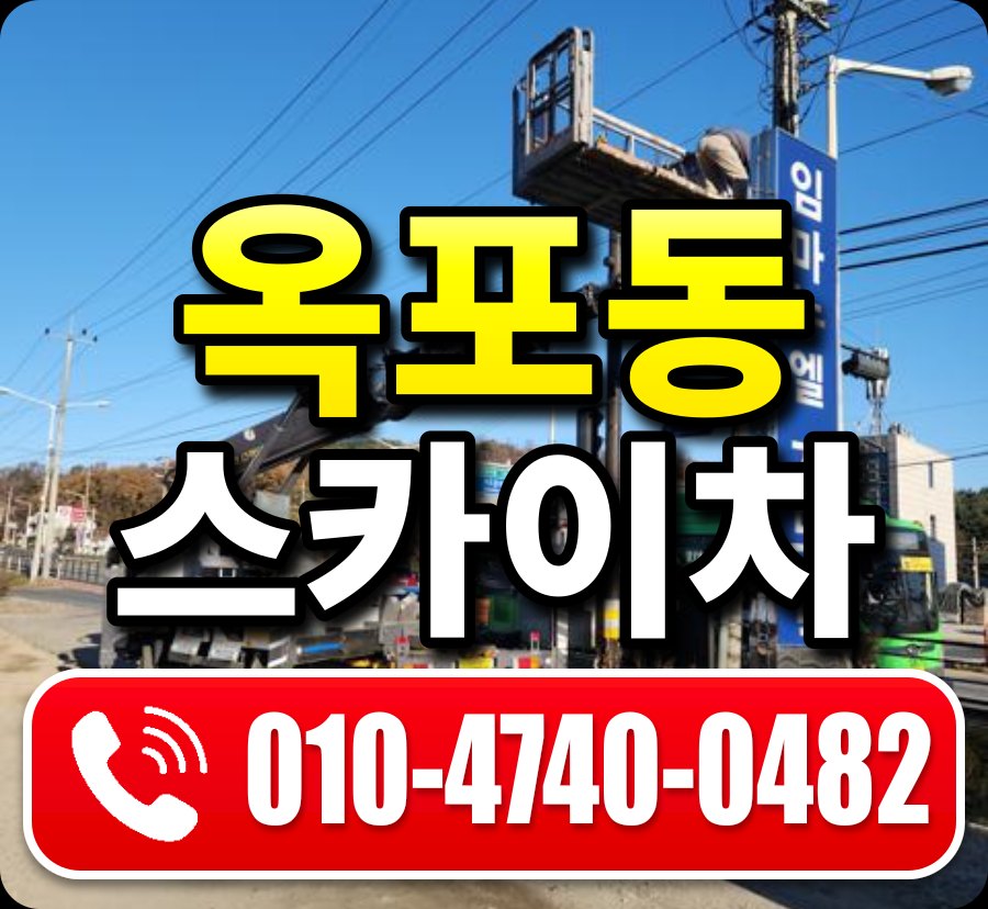 옥포동 스카이차 010-4740-0482