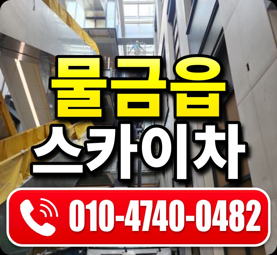 물금읍 스카이차 010-4740-0482