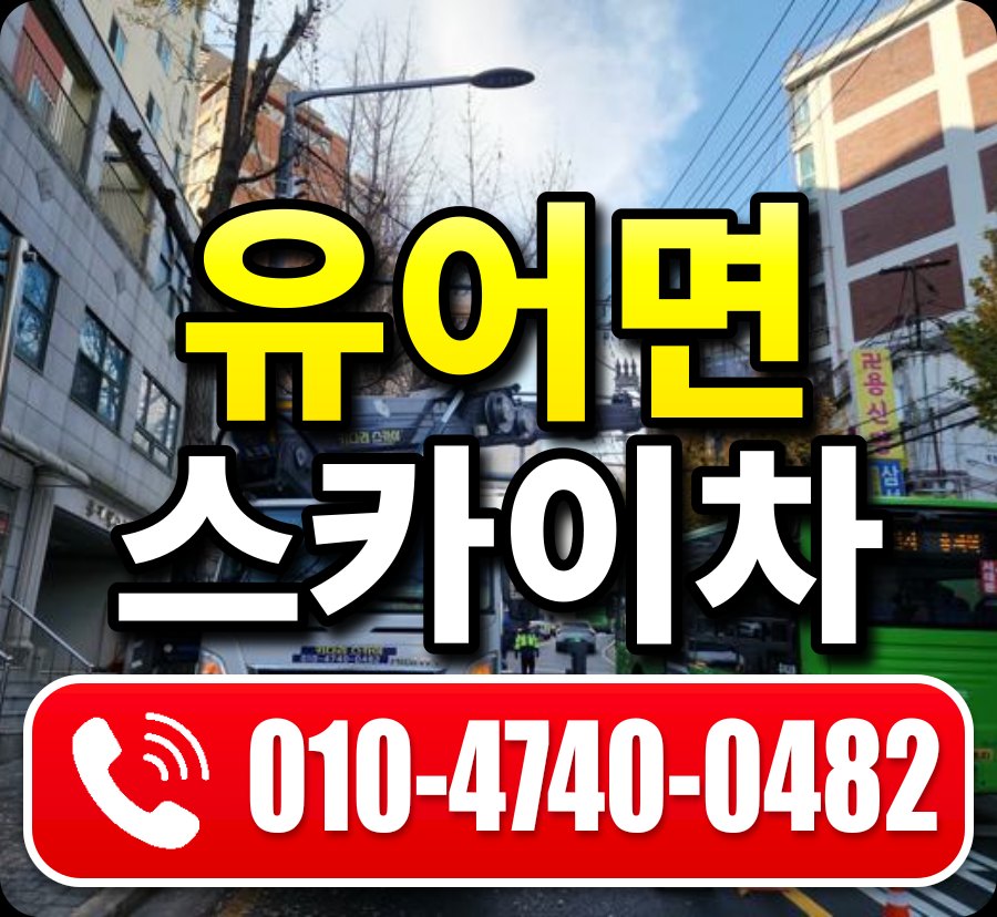 유어면 스카이차 010-4740-0482