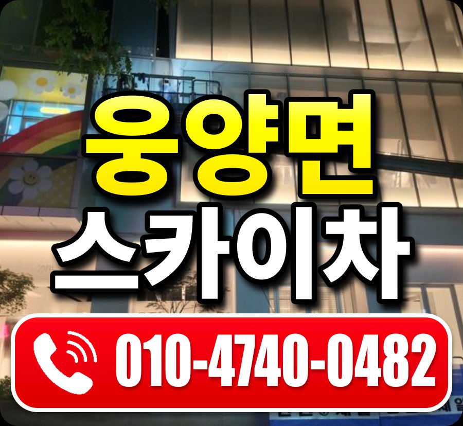웅양면 스카이차 010-4740-0482