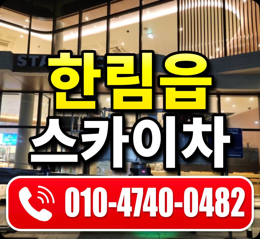 한림읍 스카이차 010-4740-0482
