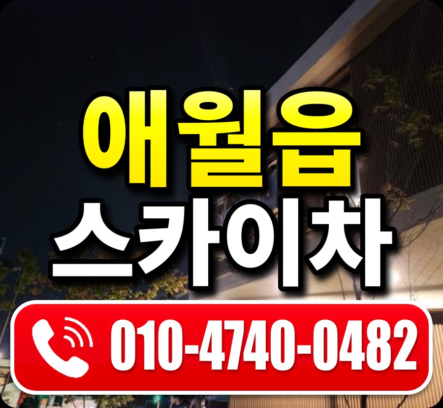 애월읍 스카이차 010-4740-0482