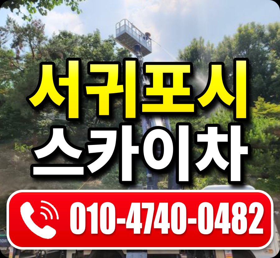 서귀포시 스카이차 010-4740-0482