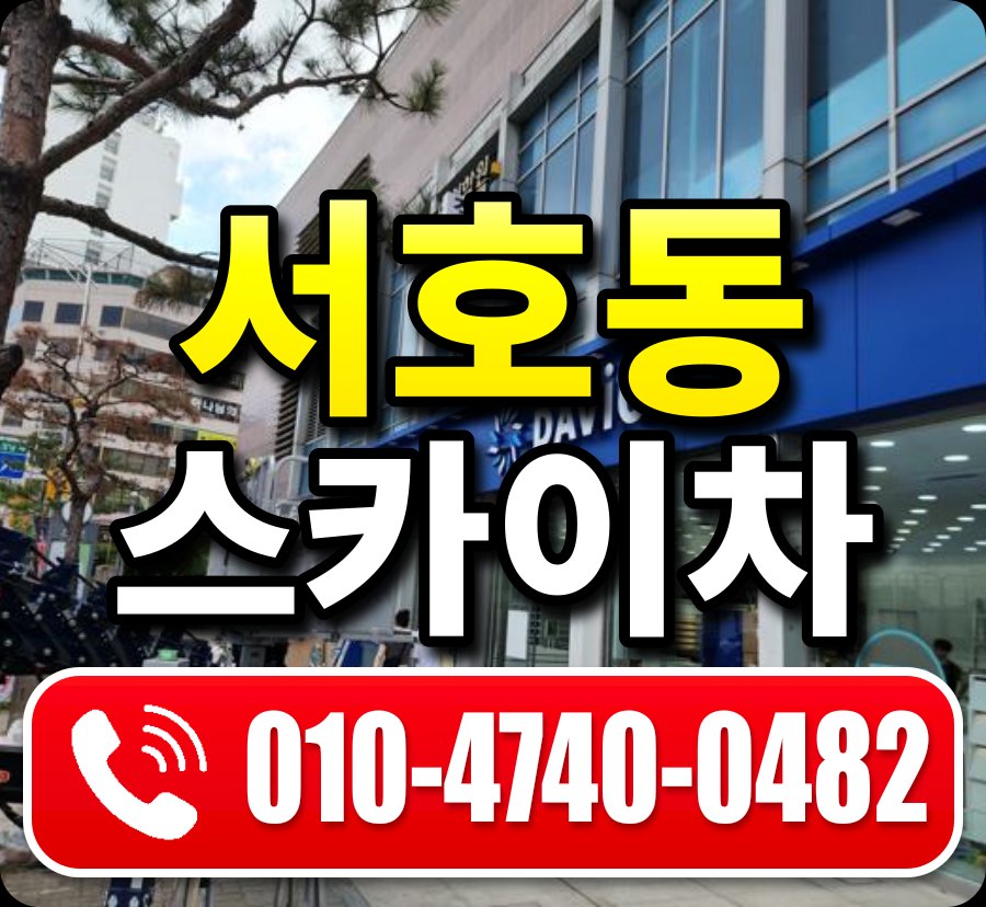 서호동 스카이차 010-4740-0482