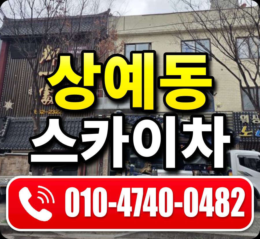 상예동 스카이차 010-4740-0482