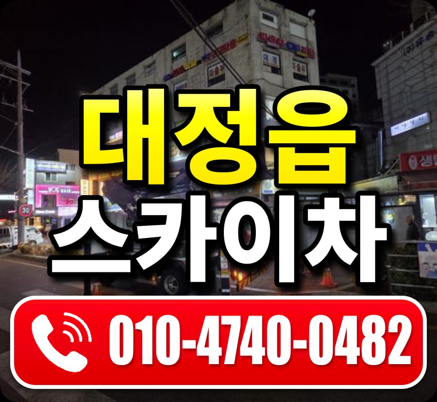 대정읍 스카이차 010-4740-0482
