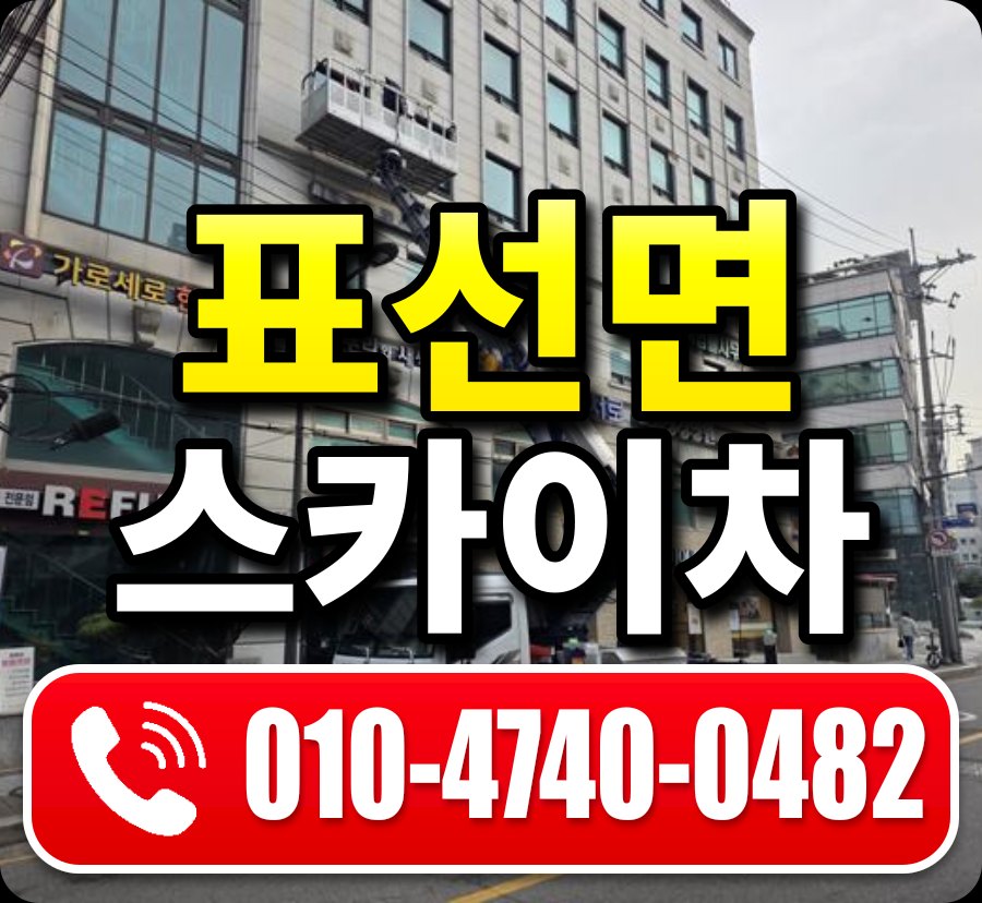표선면 스카이차 010-4740-0482