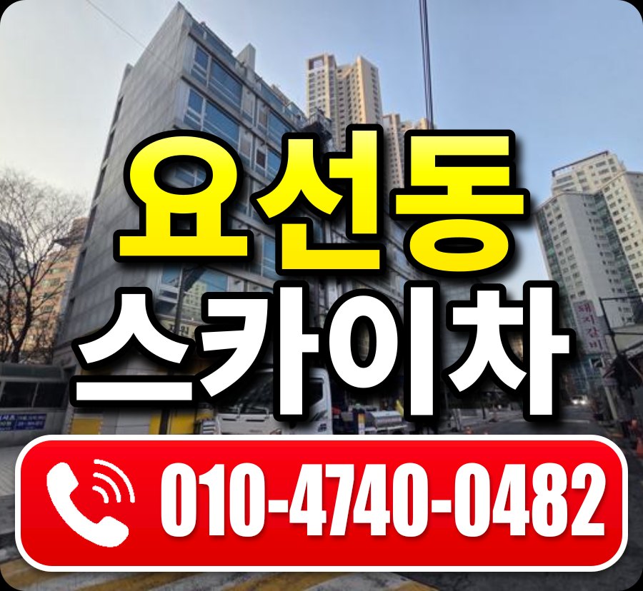 요선동 스카이차 010-4740-0482