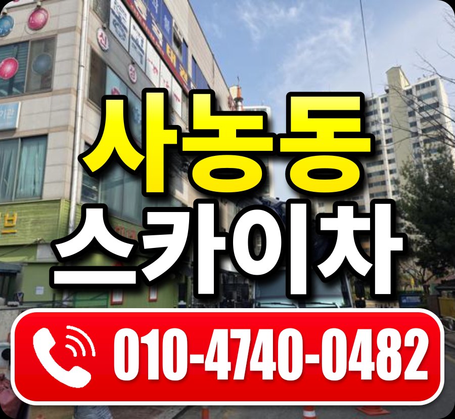 사농동 스카이차 010-4740-0482