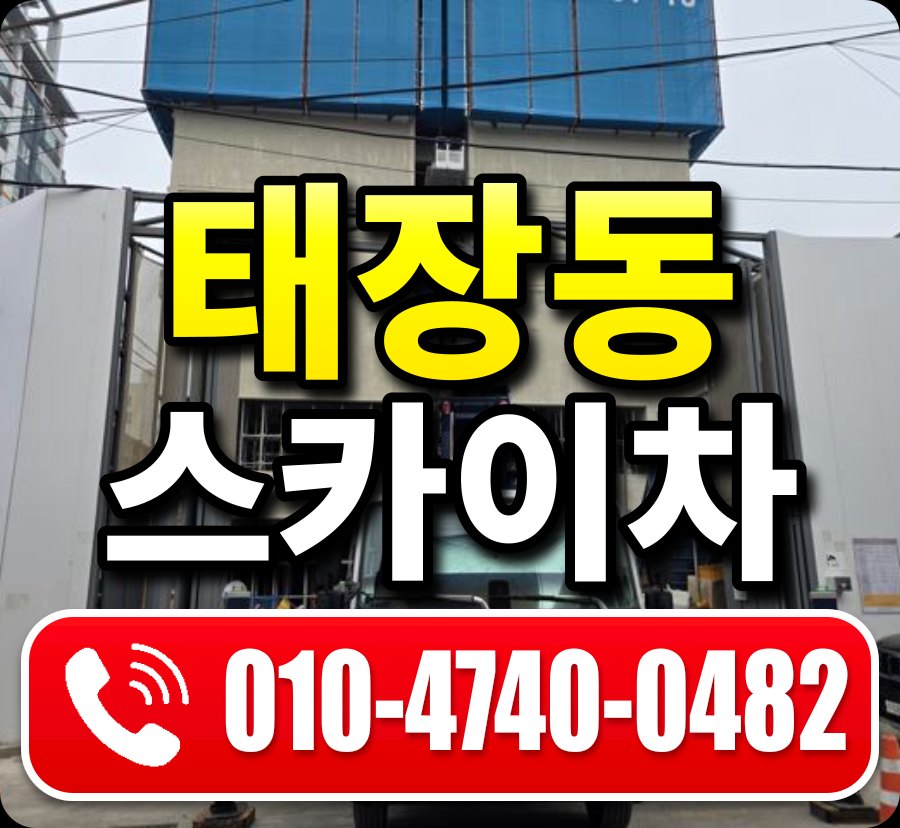 태장동 스카이차 010-4740-0482