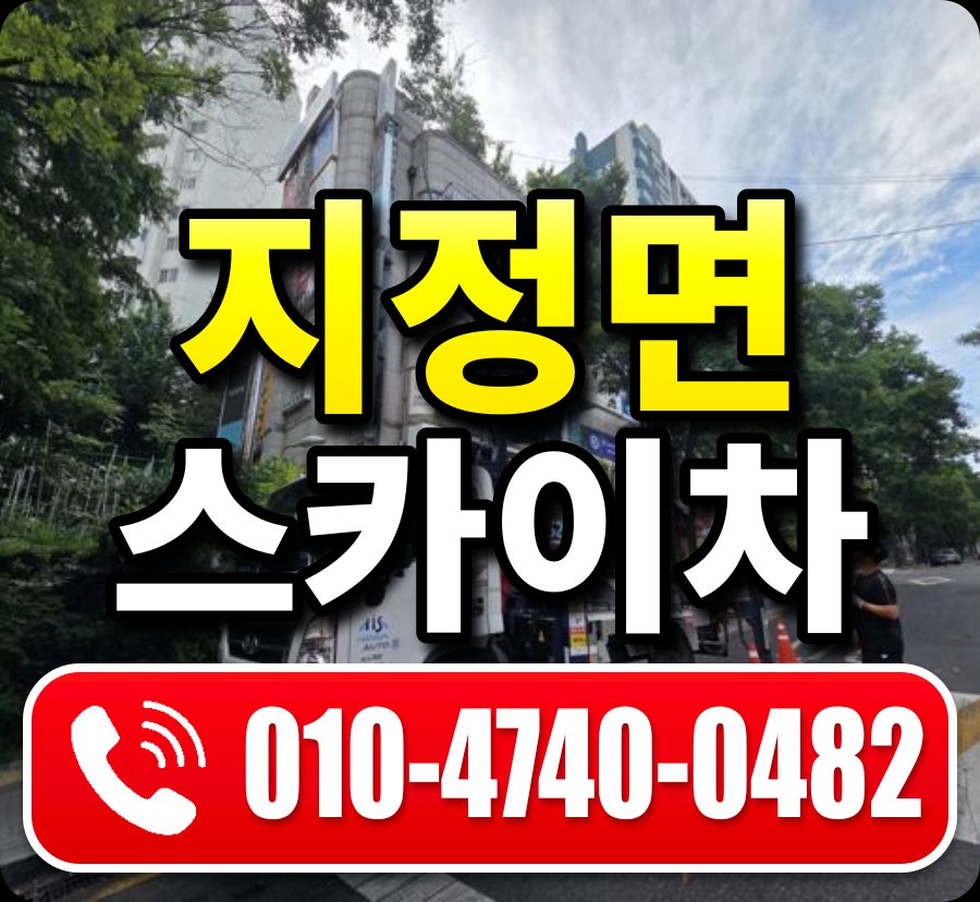 지정면 스카이차 010-4740-0482
