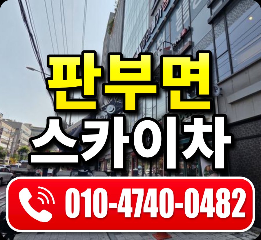 판부면 스카이차 010-4740-0482