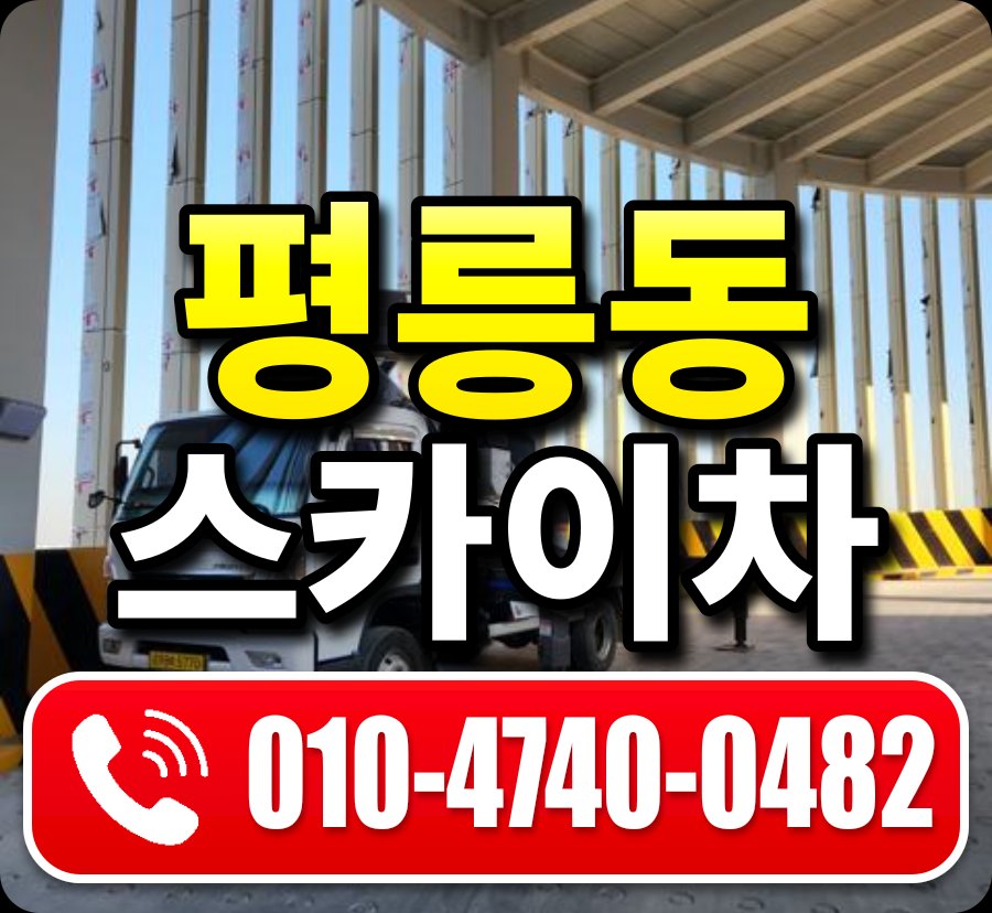 평릉동 스카이차 010-4740-0482