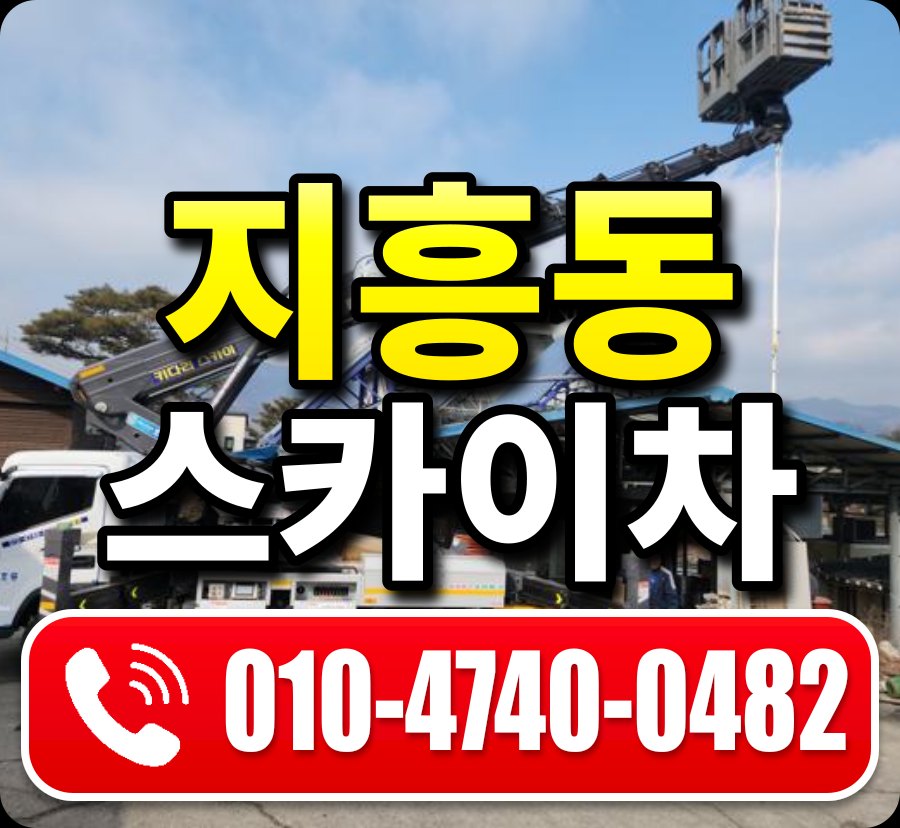지흥동 스카이차 010-4740-0482