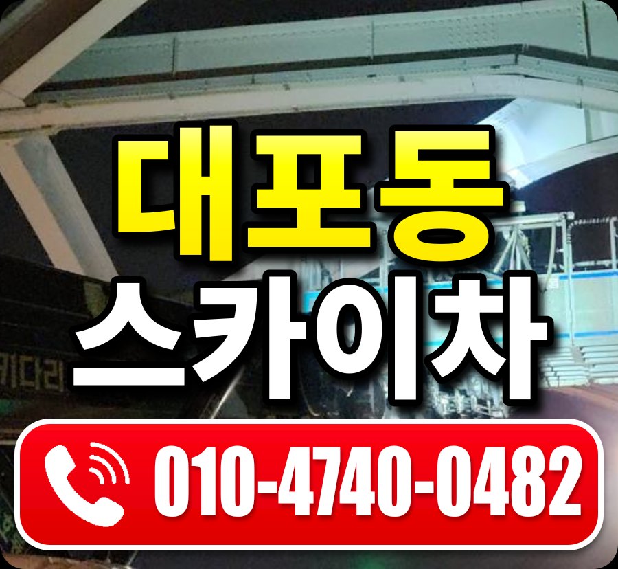 대포동 스카이차 010-4740-0482