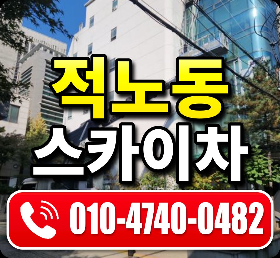 적노동 스카이차 010-4740-0482