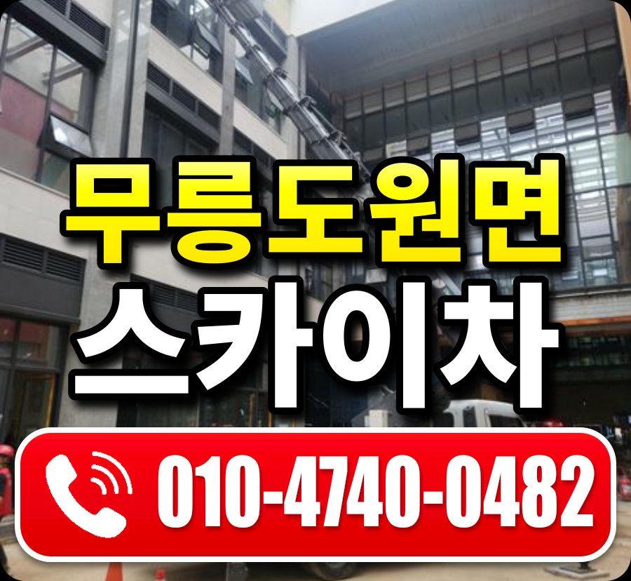 무릉도원면 스카이차 010-4740-0482