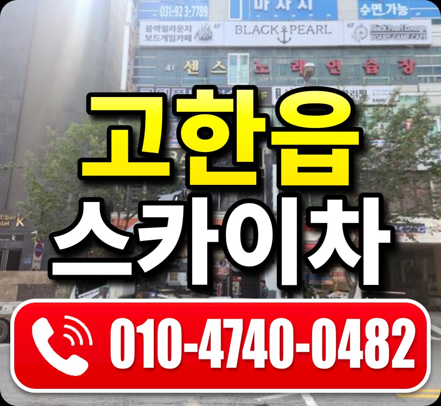 고한읍 스카이차 010-4740-0482