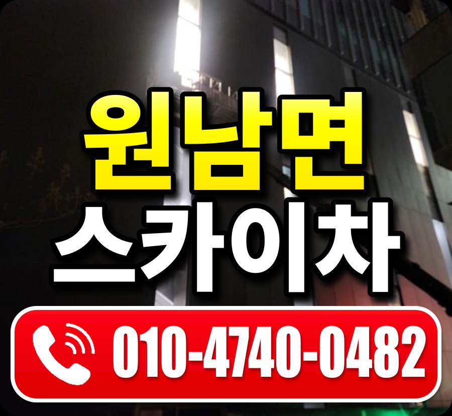 원남면 스카이차 010-4740-0482