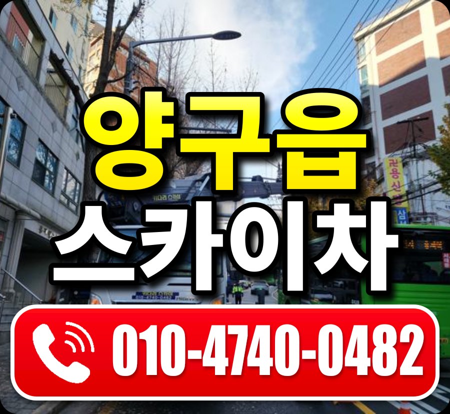 양구읍 스카이차 010-4740-0482