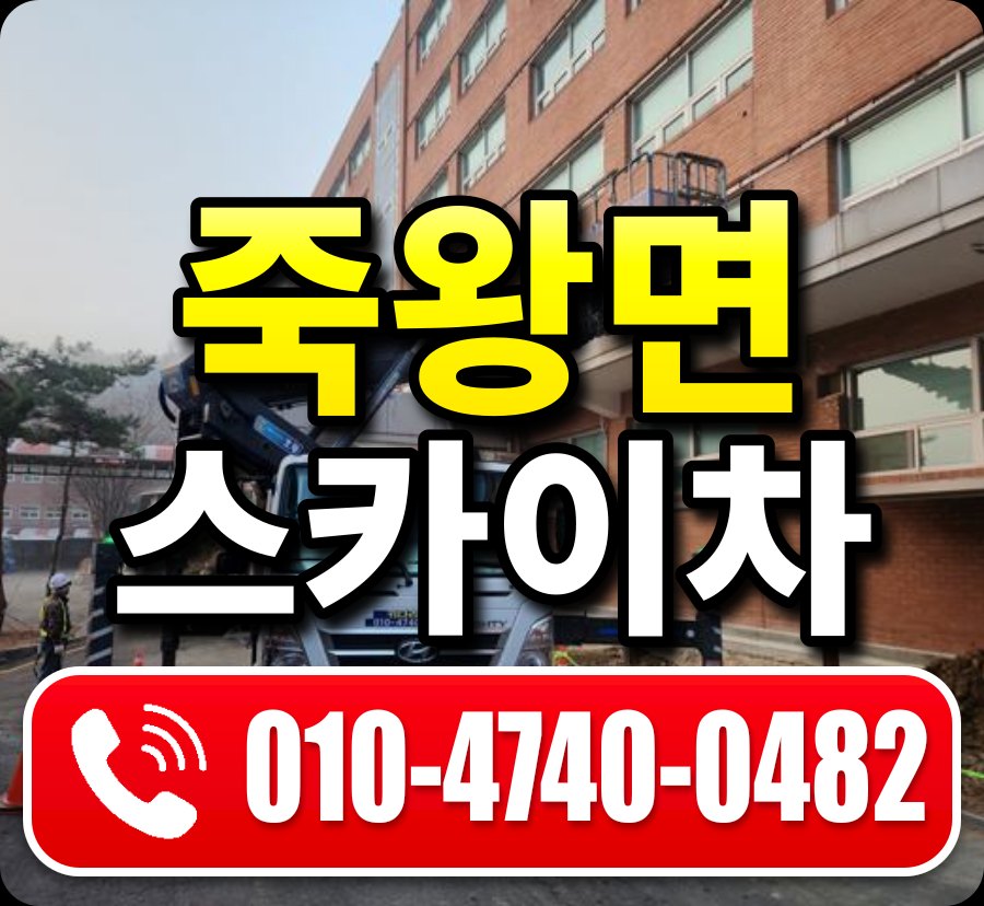 죽왕면 스카이차 010-4740-0482
