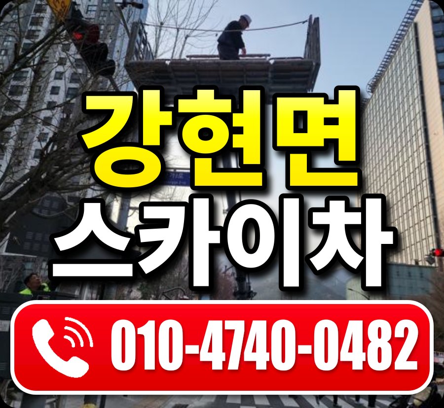 강현면 스카이차 010-4740-0482