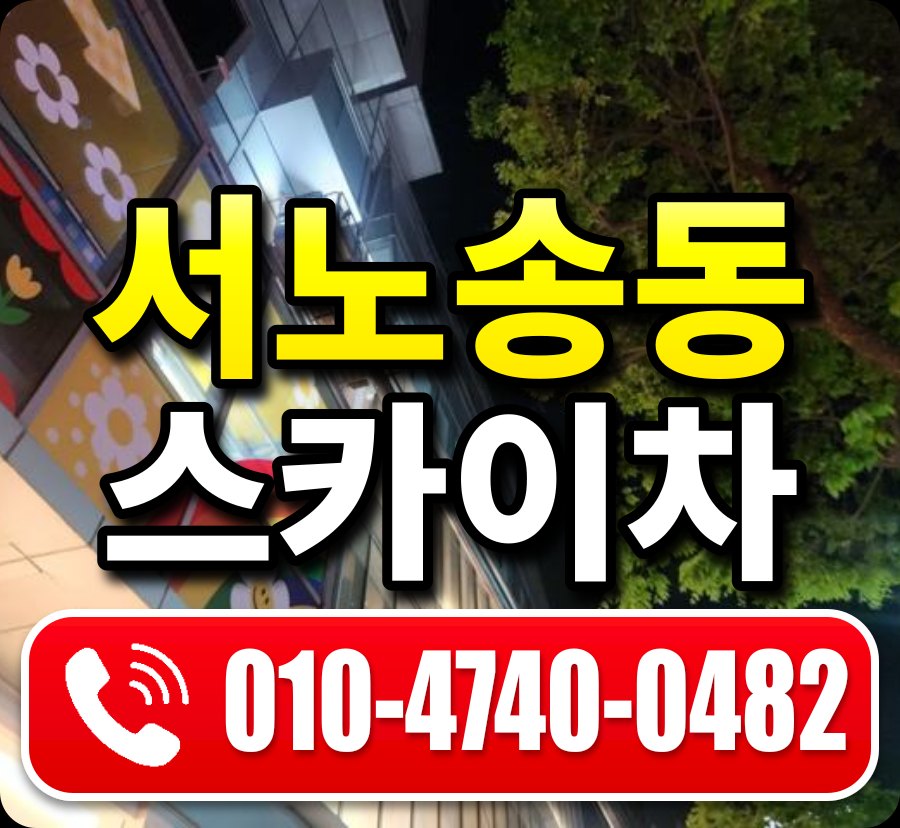 서노송동 스카이차 010-4740-0482