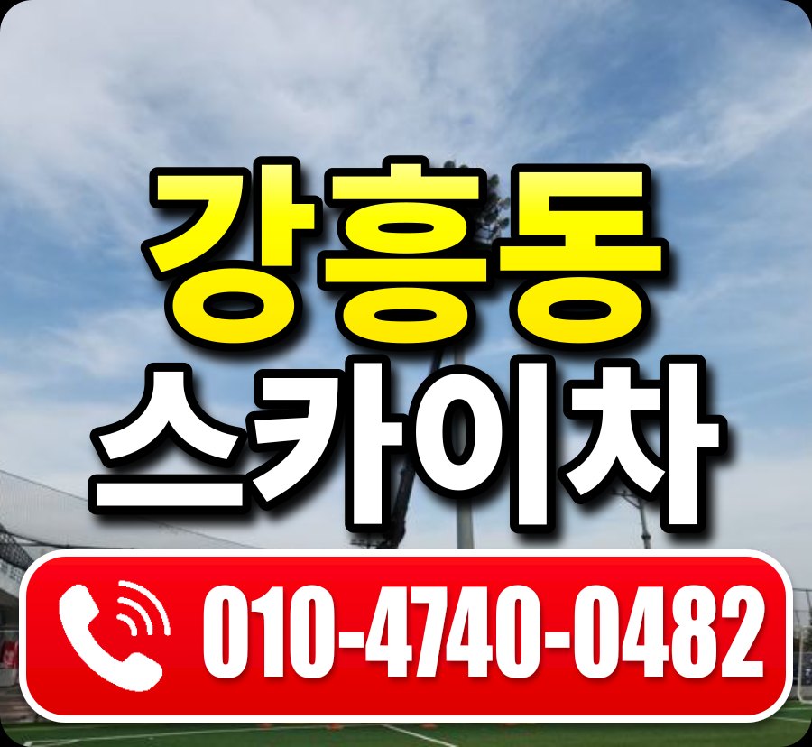 강흥동 스카이차 010-4740-0482