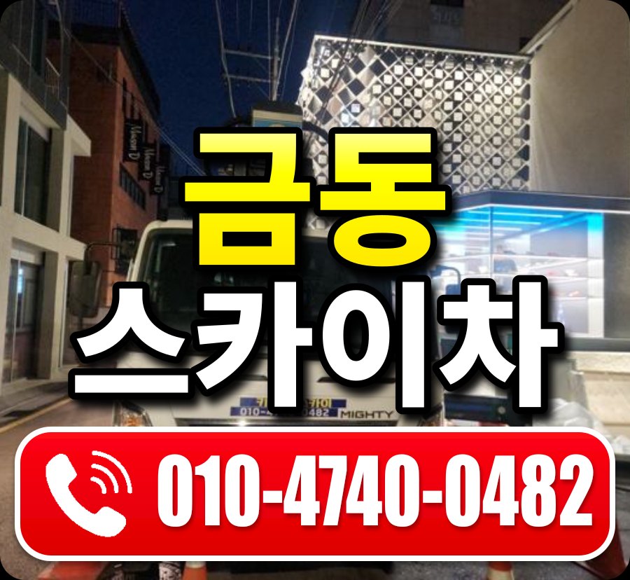 금동 스카이차 010-4740-0482