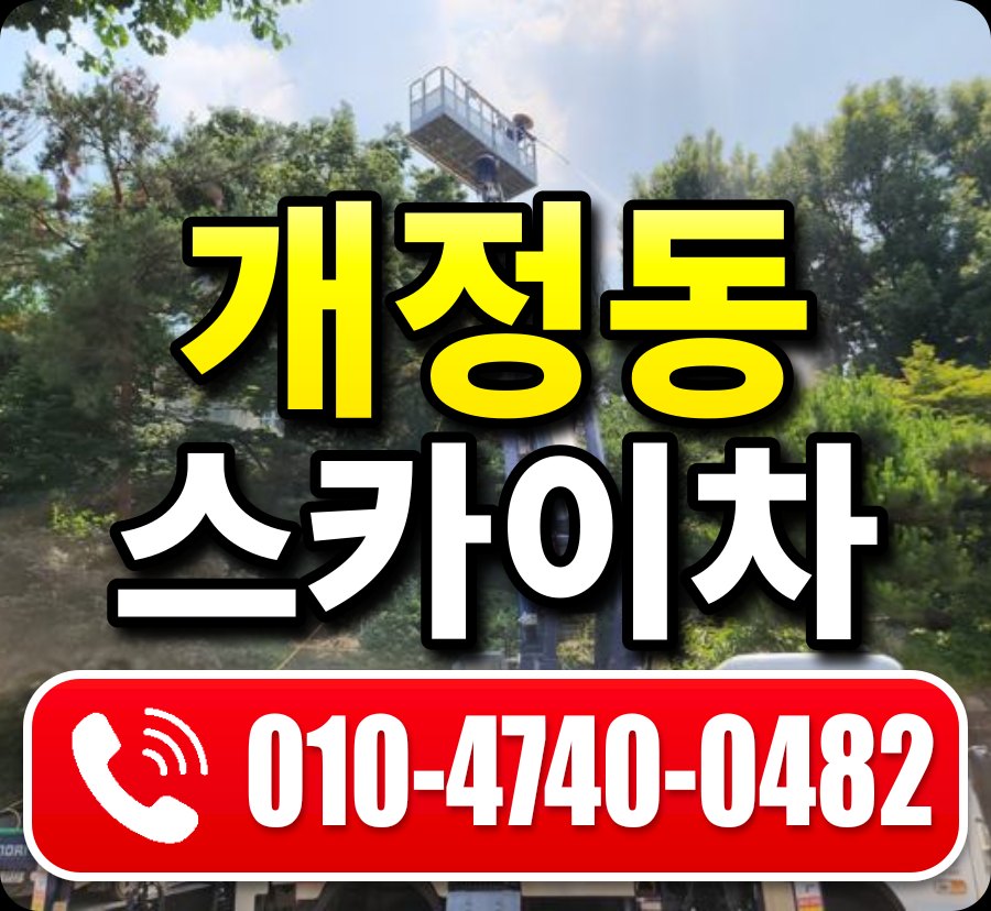 개정동 스카이차 010-4740-0482