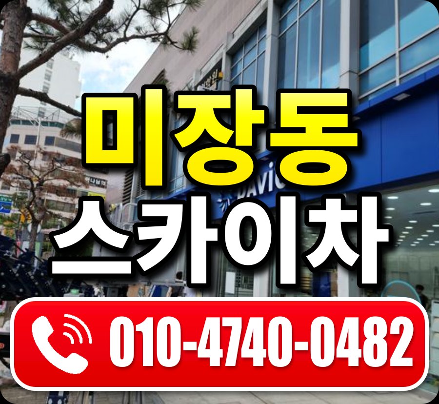 미장동 스카이차 010-4740-0482