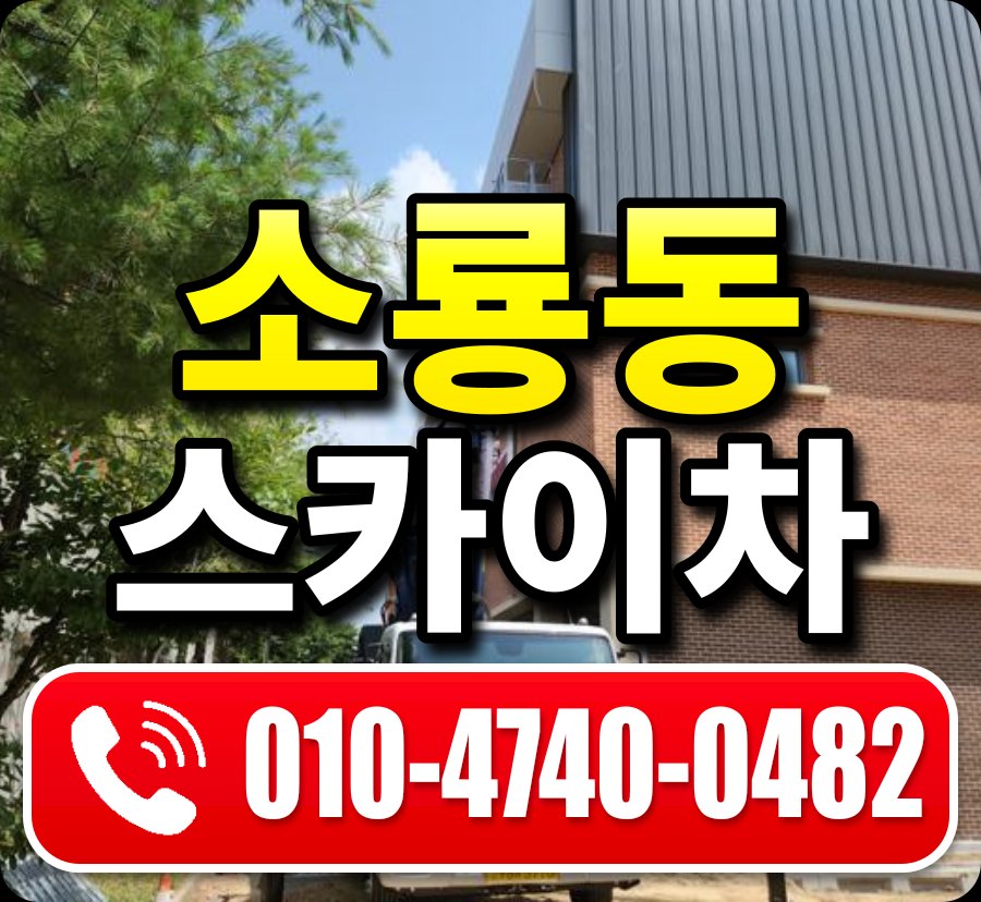 소룡동 스카이차 010-4740-0482
