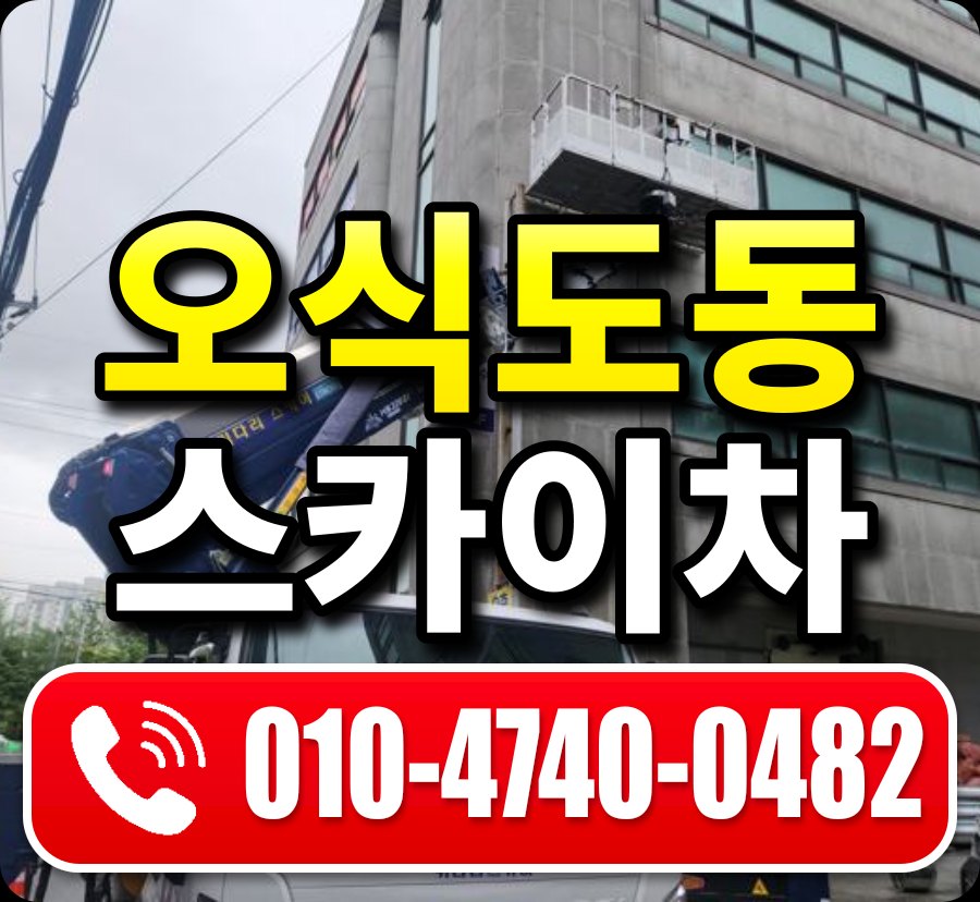 오식도동 스카이차 010-4740-0482