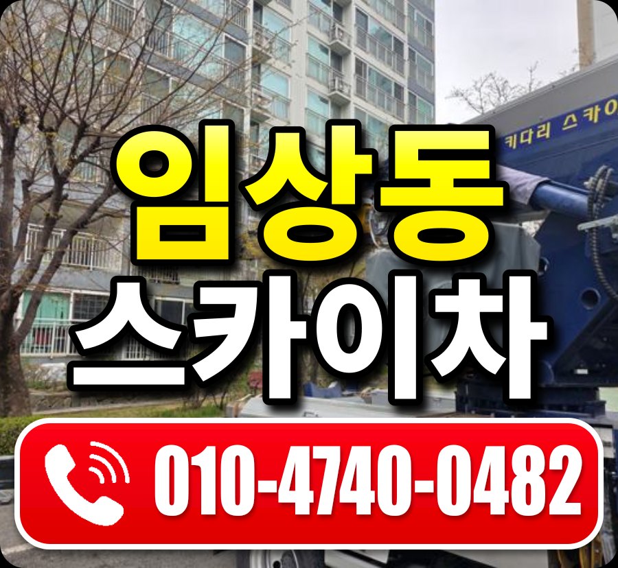 임상동 스카이차 010-4740-0482