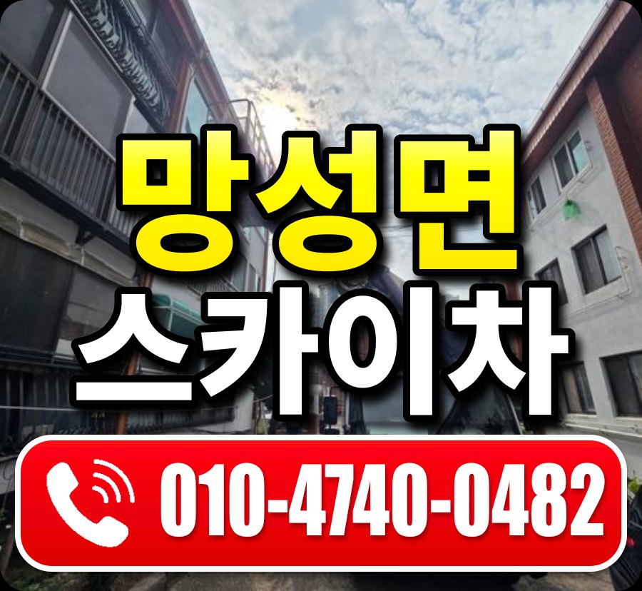 망성면 스카이차 010-4740-0482