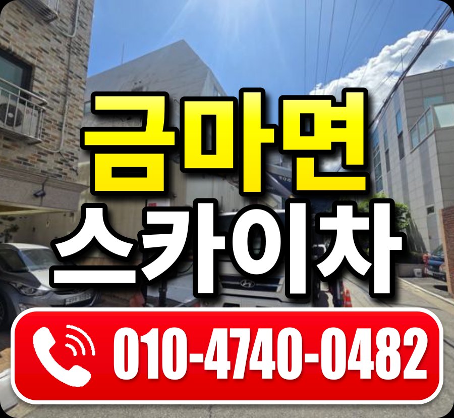 금마면 스카이차 010-4740-0482