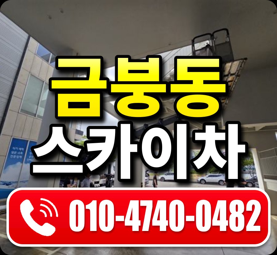 금붕동 스카이차 010-4740-0482