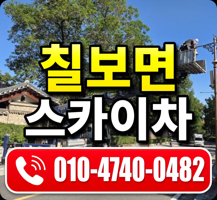 칠보면 스카이차 010-4740-0482