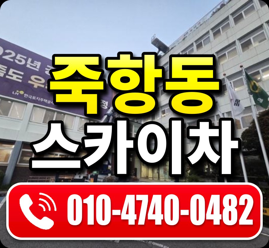 죽항동 스카이차 010-4740-0482