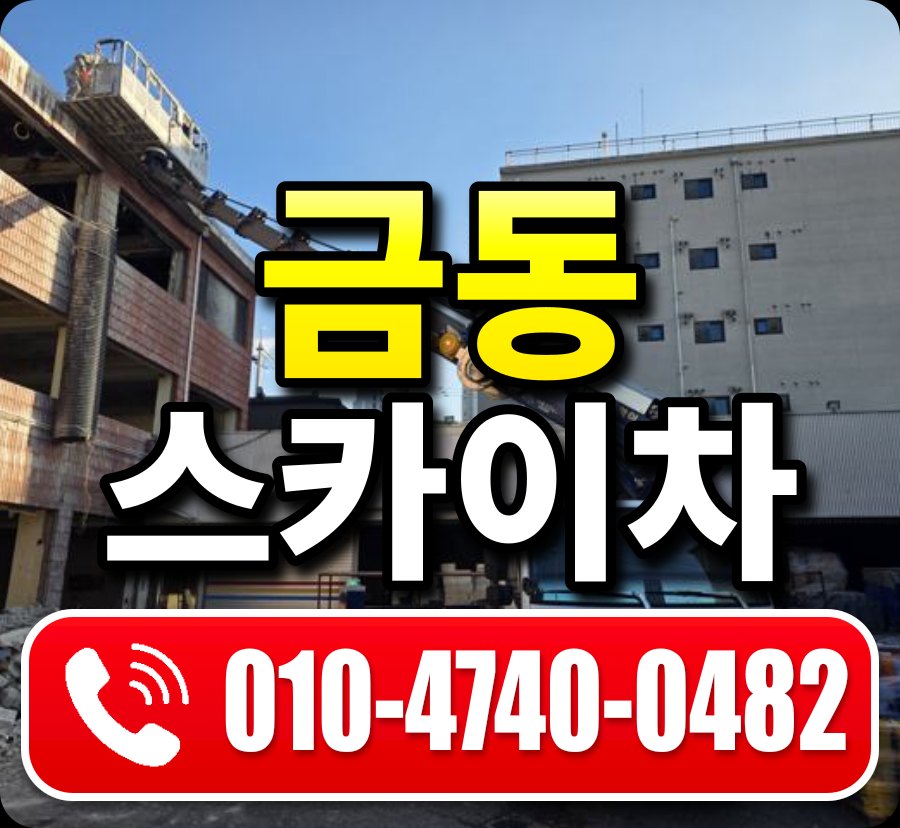 금동 스카이차 010-4740-0482