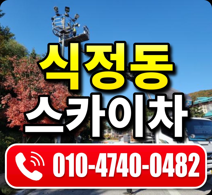 식정동 스카이차 010-4740-0482