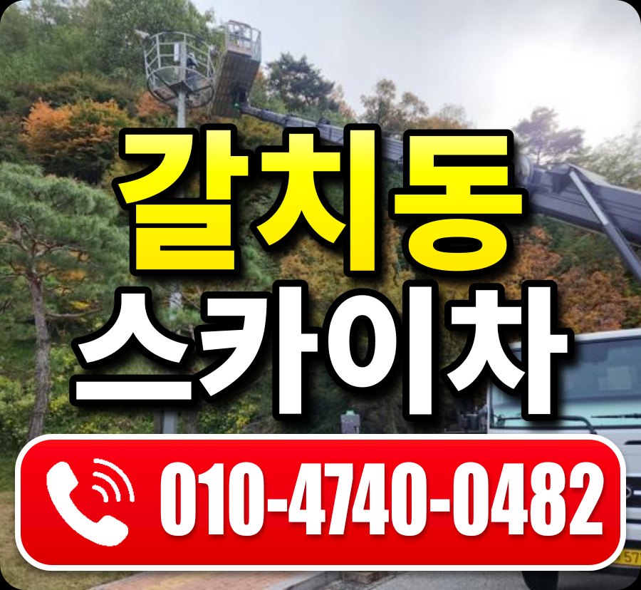 갈치동 스카이차 010-4740-0482